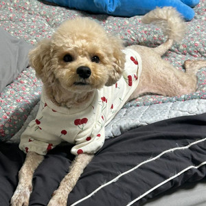 레이어드스커트