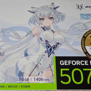 5070ti 폴라폭스 팔거나 하급모델과 교환합니다