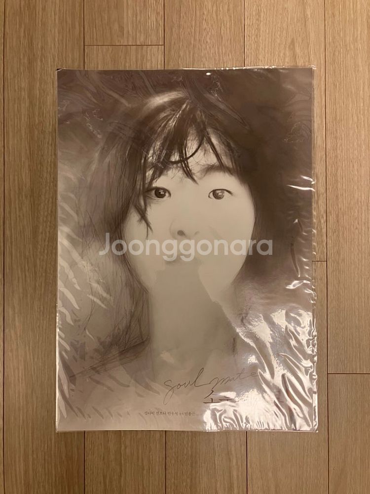 소울메이트 안미소 김다미 스케치 스페셜 포스터 a3--1