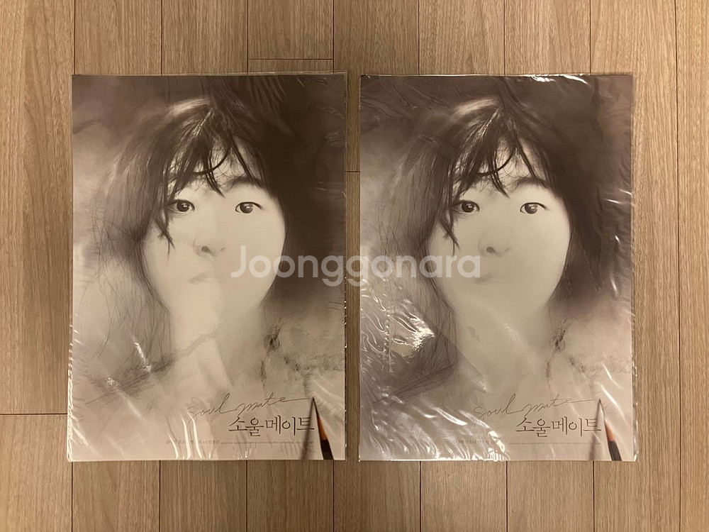 소울메이트 안미소 김다미 스케치 스페셜 포스터 a3--0