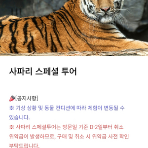 에버랜드 스페셜투어 팝니다