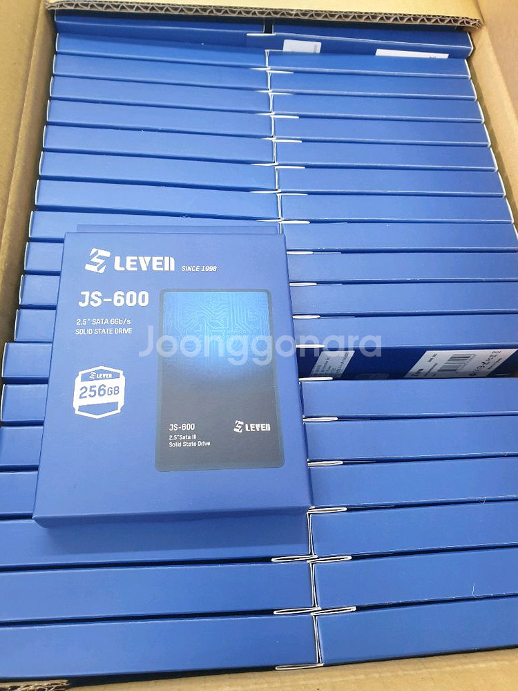 LEVEII JS-600 256GB SSD--1