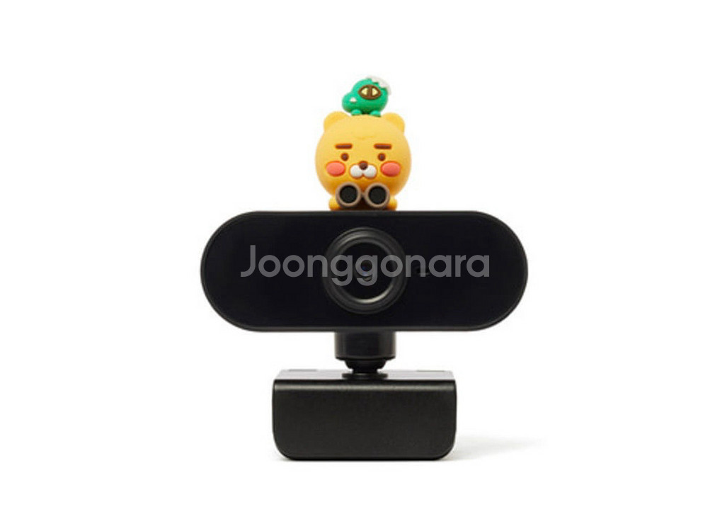 라이언 웹캠--0