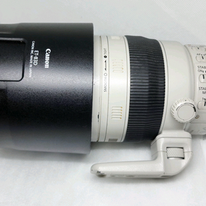 캐논 EF 100-400 IS II
