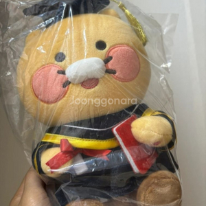 춘식이 학사모 인형팝니다!