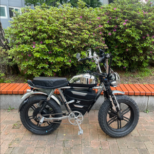 엑스라이더 터보 프로 크롬 60V 2000W