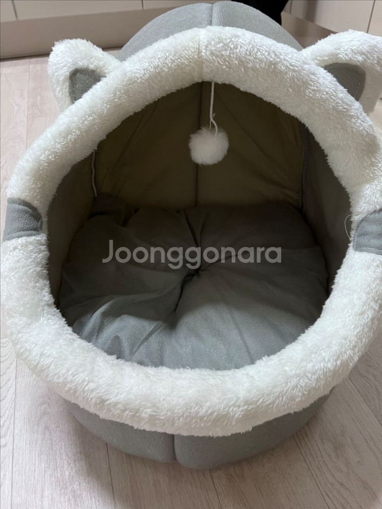 고양이 집--0