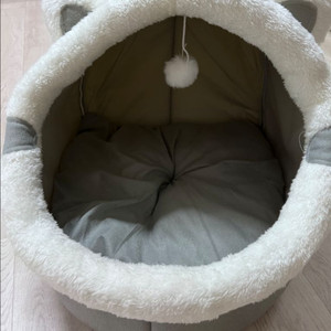 고양이 집