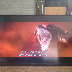 23년식 LG 사이니지 4K 모니터 겸 TV