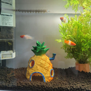 풀세트 수족관 + 선물 포함