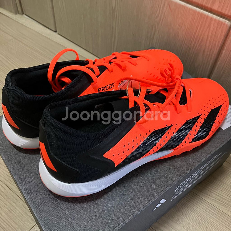 풋살화260 아디다스 프레데터 애큐러시3 L TF--1