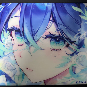 kanami 카나미 유리패드 한정판