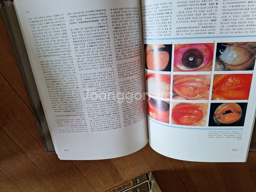원색최신의학대백과사전 22권--2