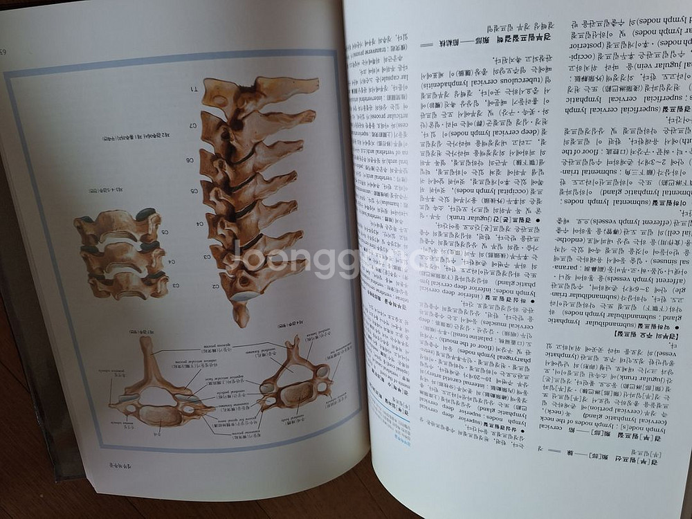 원색최신의학대백과사전 22권--3