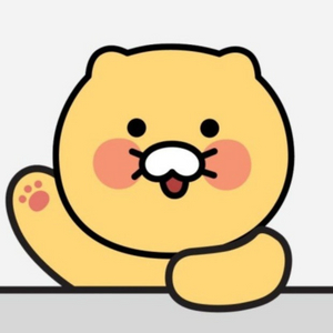 춘식이인형 랜덤 박스!