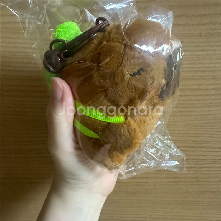 (새상품) 거북이 가방 메고있는 카피바라 키링--1
