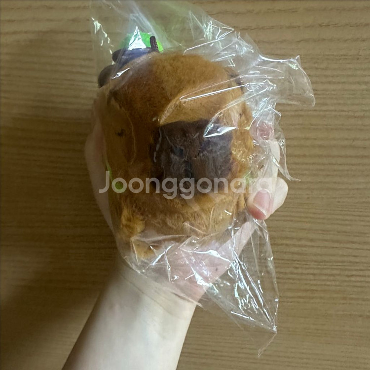 (새상품) 거북이 가방 메고있는 카피바라 키링--0