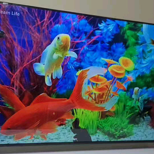 시티브 4K UHD TV • 139cm(55인치)