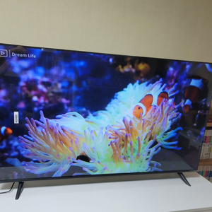 시티브 스마트 4K UHD TV(55인치) 가격다운