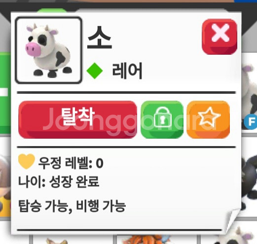 입양하세요 날타 젖소 쌉 급처--3