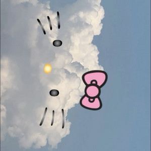 간호과학회 지역사화 문제집 사요