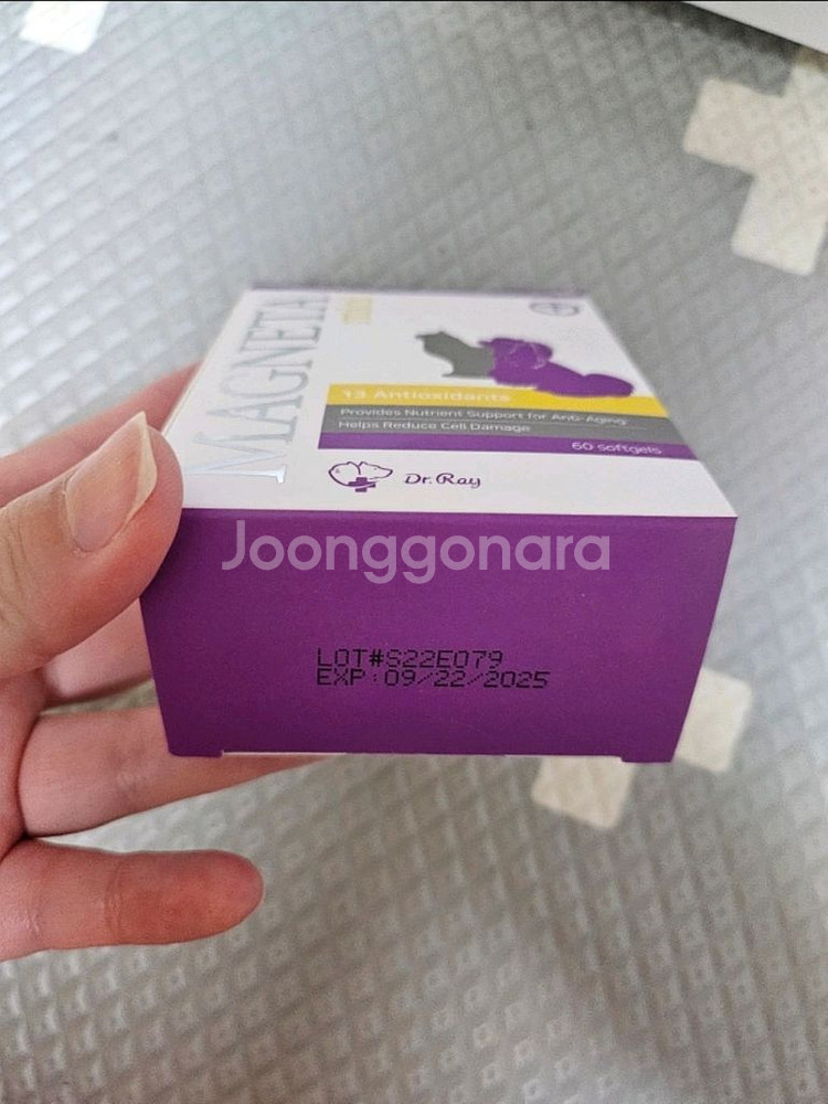 닥터레이 레이엔이본(마그네타미니, 후코이카)팔아요--0