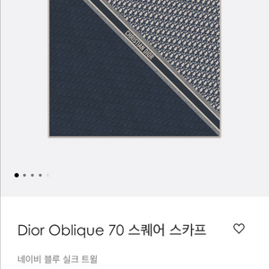 디올 오블리크 스카프