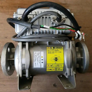 ebara 32mmro 2.2s 울트라 퓨어 워터 펌프