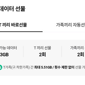 skt 데이터 2GB