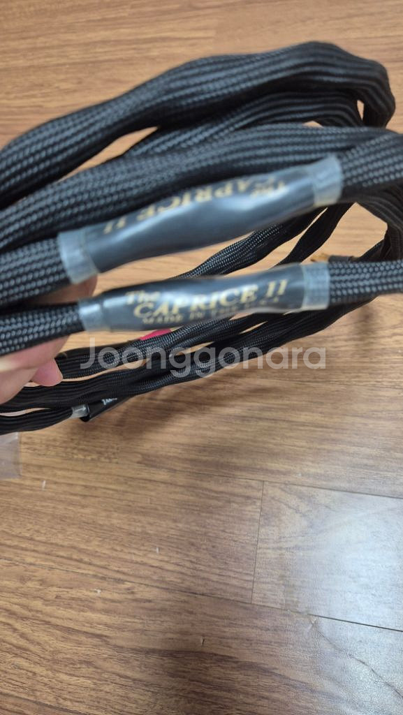 타라랩 caprice 2 스피커케이블 팝니다--1