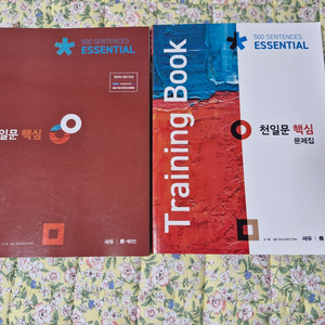 천일문 핵심