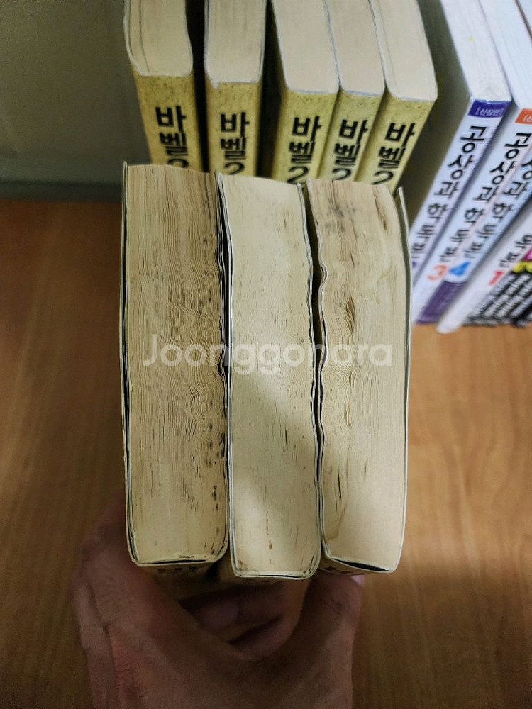 센과치히로의행방불명.공상과학독본.바벨2세--3
