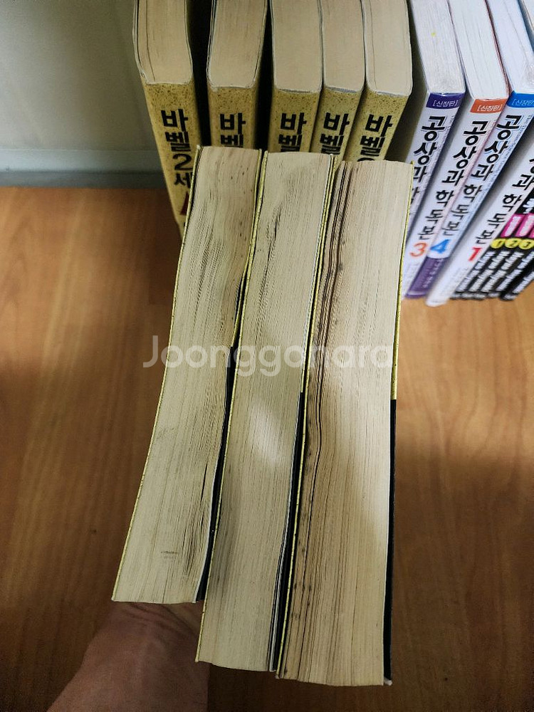 센과치히로의행방불명.공상과학독본.바벨2세--4