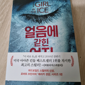 얼음에 갇힌 여자. 소설. 추리