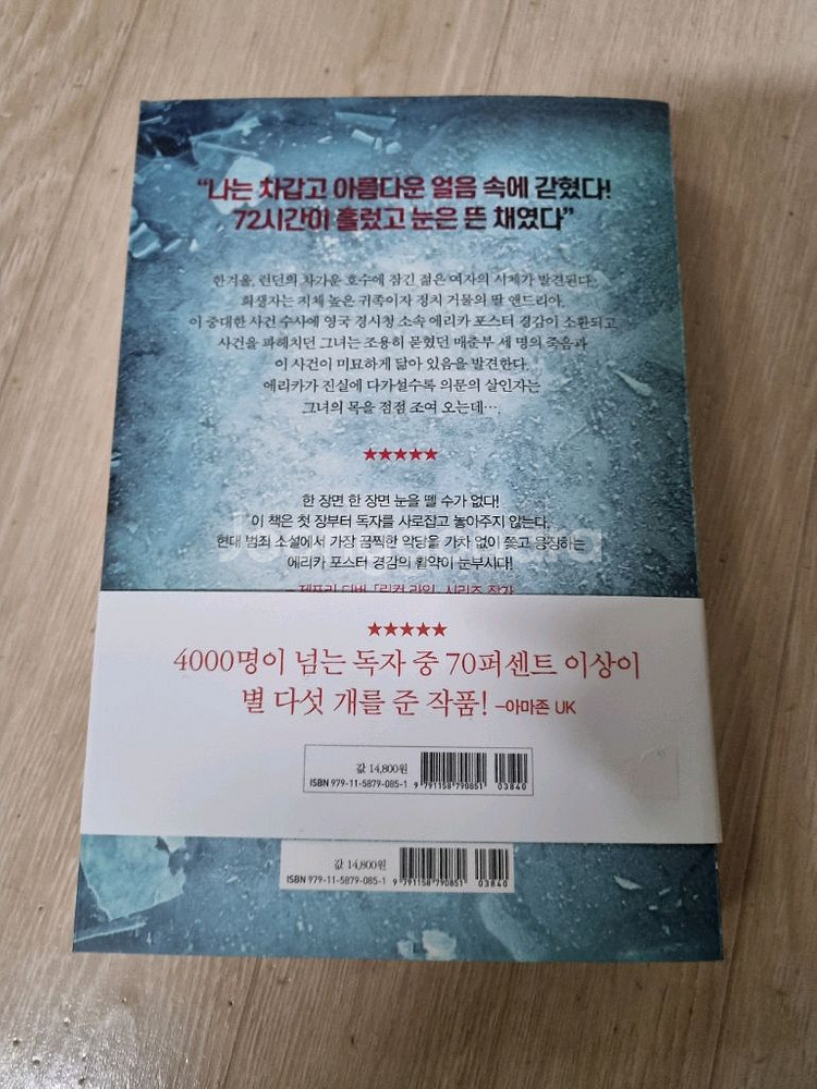 얼음에 갇힌 여자. 소설. 추리--1
