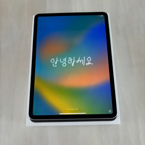 아이패드 프로 11 64g