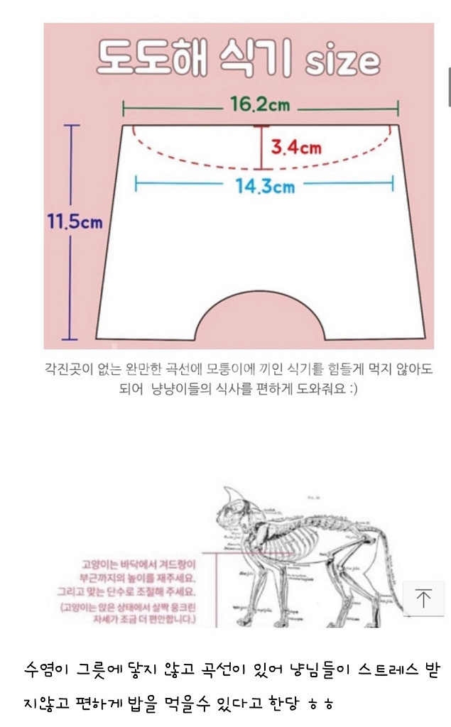 도도해 식기 베이직--8