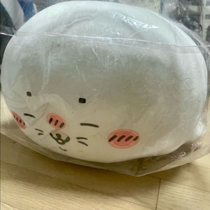 나가노마켓 수족관 쿠지 A상