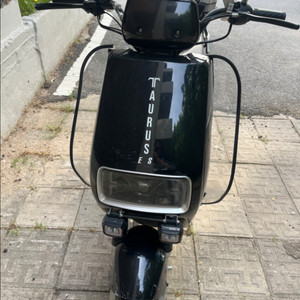 타우러스 es 싱글