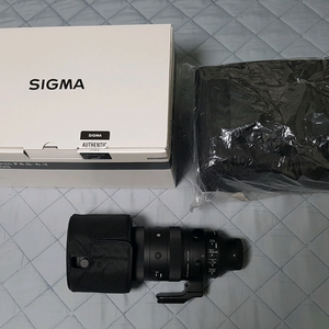 시그마 60-600mm (소니 E-mount) 풀프레임