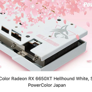 파워칼라 rx6650xt 구매합니다