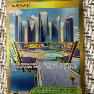 포켓몬카드 누룩스시티