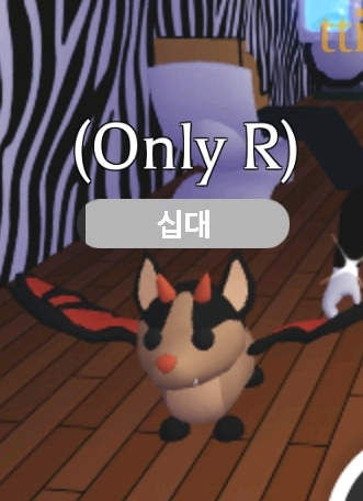 입양하세요 R박쥐드래곤 팝니다--0