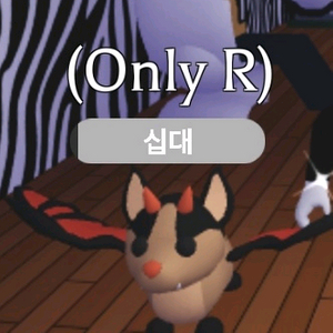 입양하세요 R박쥐드래곤 팝니다