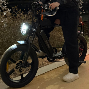 SMD V2 750W 전기자전거