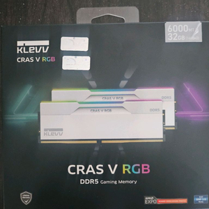 ESSENCORE KLEVV DDR5 16gb 2개
