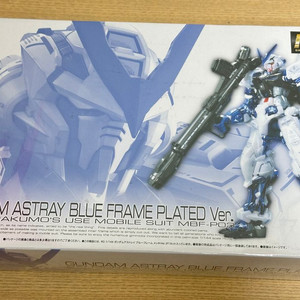 RG 건담 어스트레이 레드/블루프레임 맥기코팅