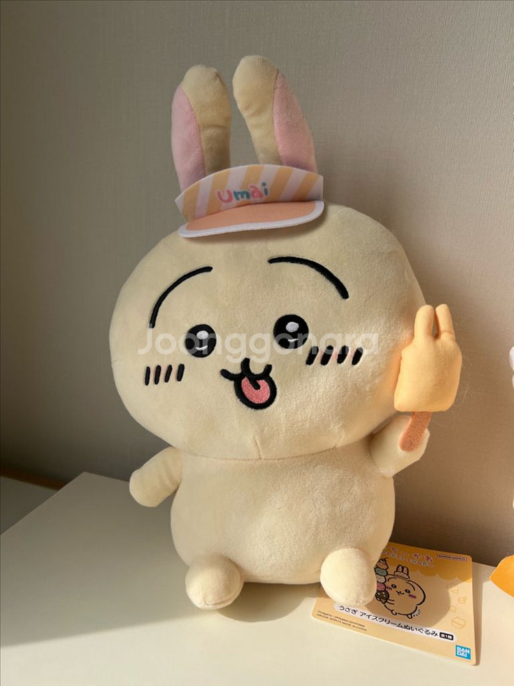 치이카와 우사기 아이스크림--0