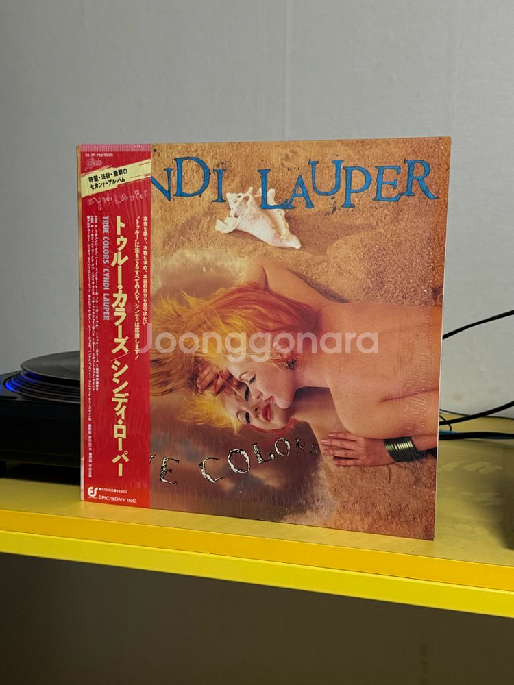 [Pop] 신디 로퍼 수입반 LP 판매해요--0