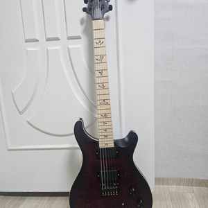 PRS DW CE24 Floyd Dustie 일렉기타